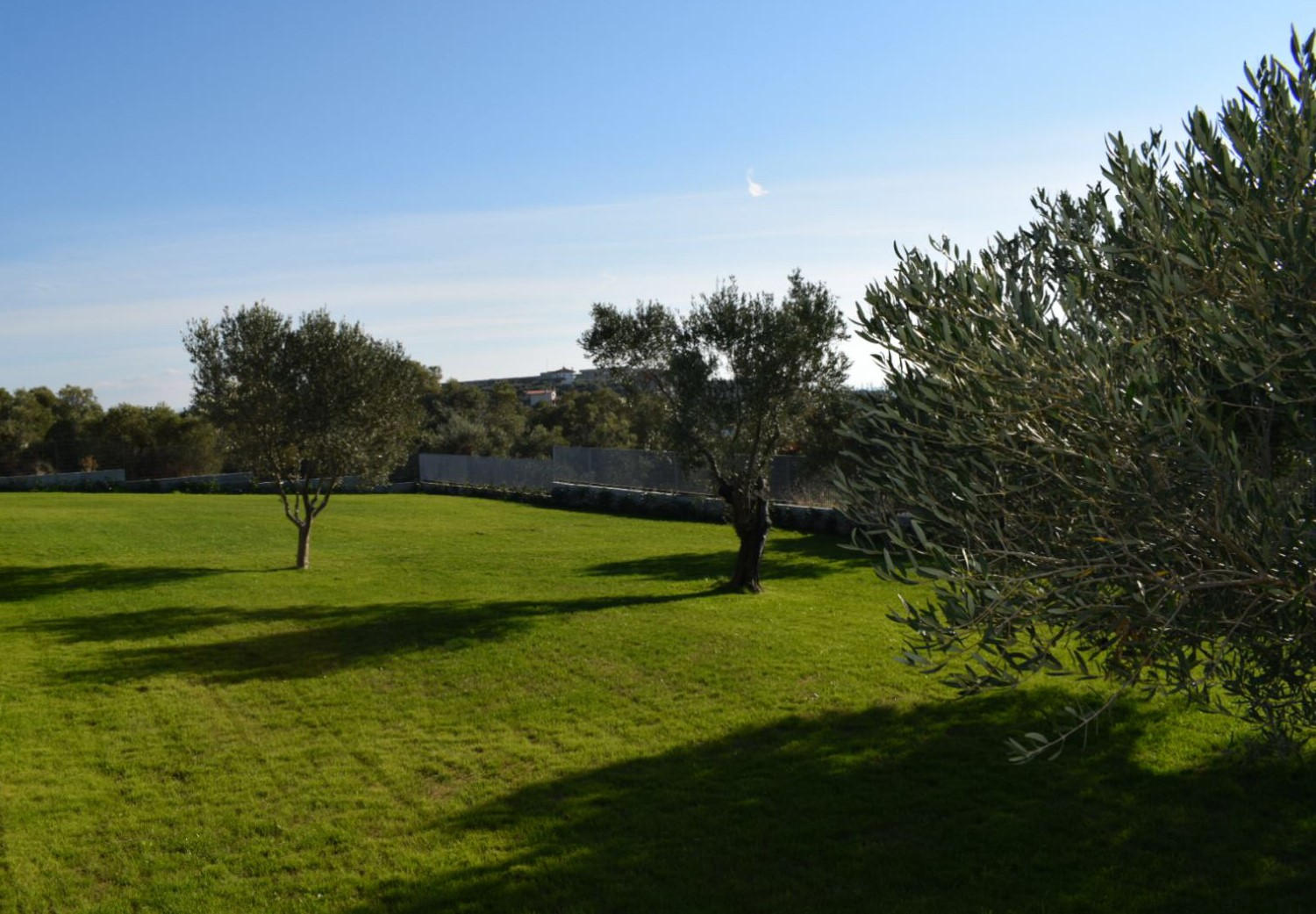 The Garden 1